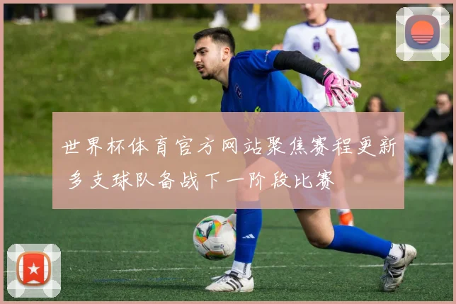 世界杯体育官方网站聚焦赛程更新 多支球队备战下一阶段比赛