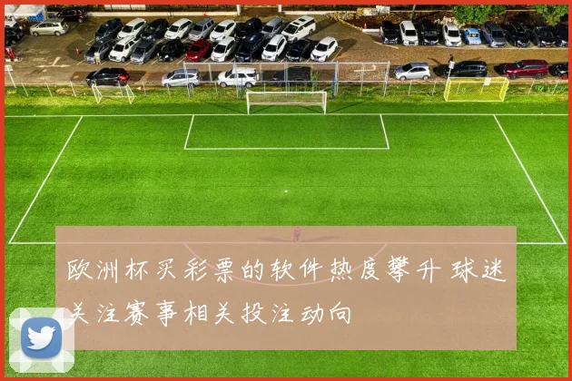 欧洲杯买彩票的软件热度攀升 球迷关注赛事相关投注动向